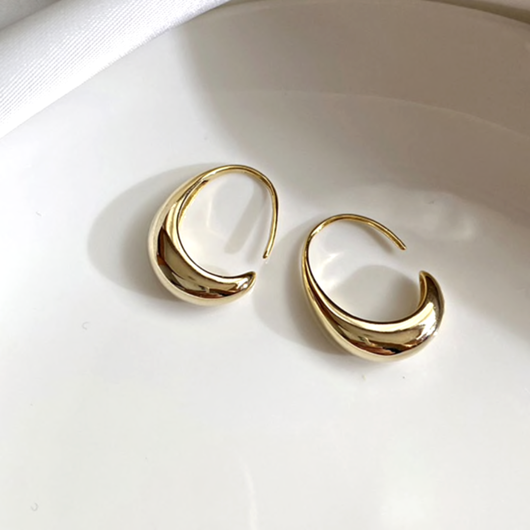 Boucles d'oreilles à crochets en or et argent