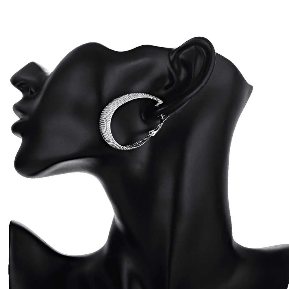 Boucles d'oreilles argentées