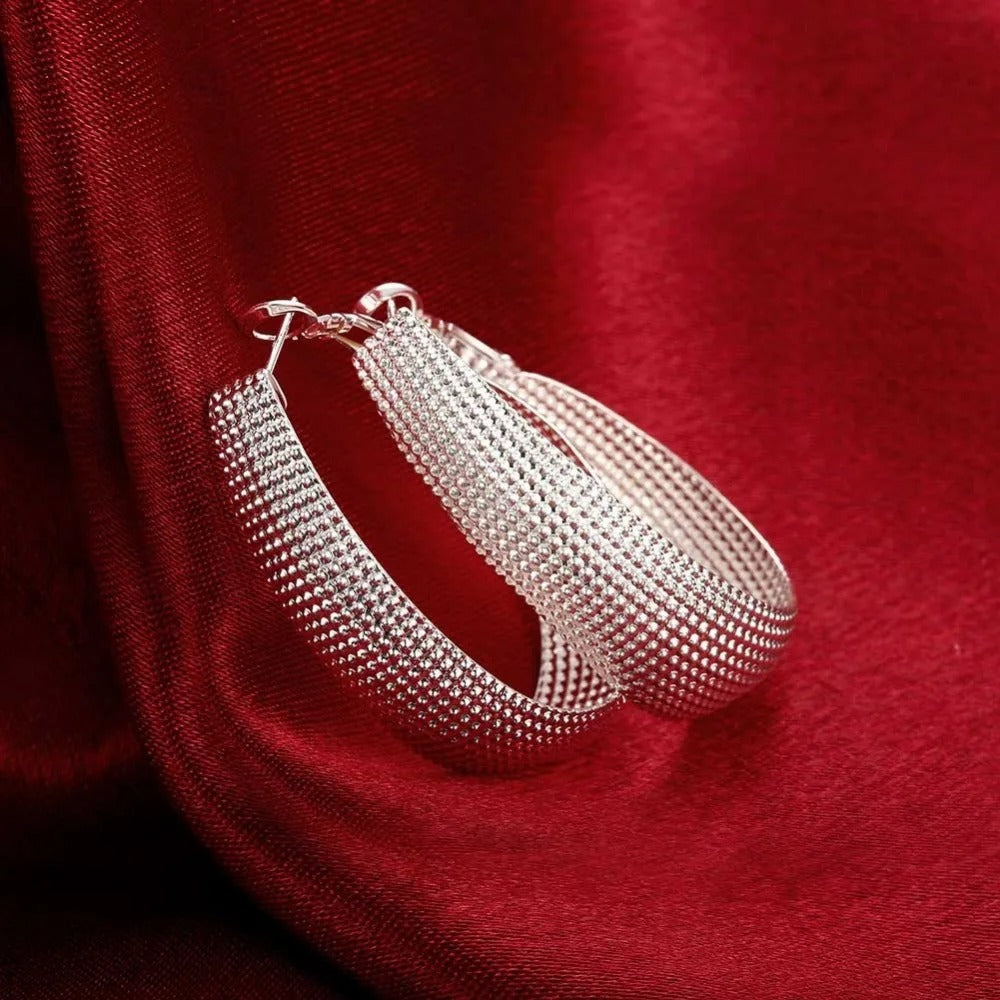 Boucles d'oreilles argentées