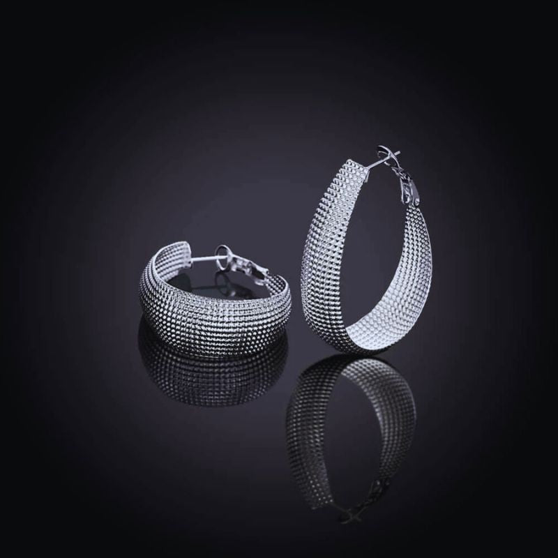 Boucles d'oreilles argentées