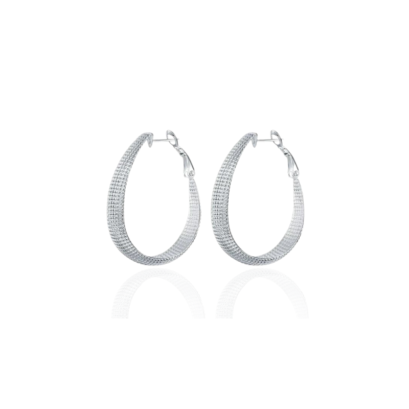 Boucles d'oreilles argentées