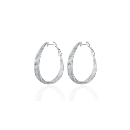 Boucles d'oreilles argentées